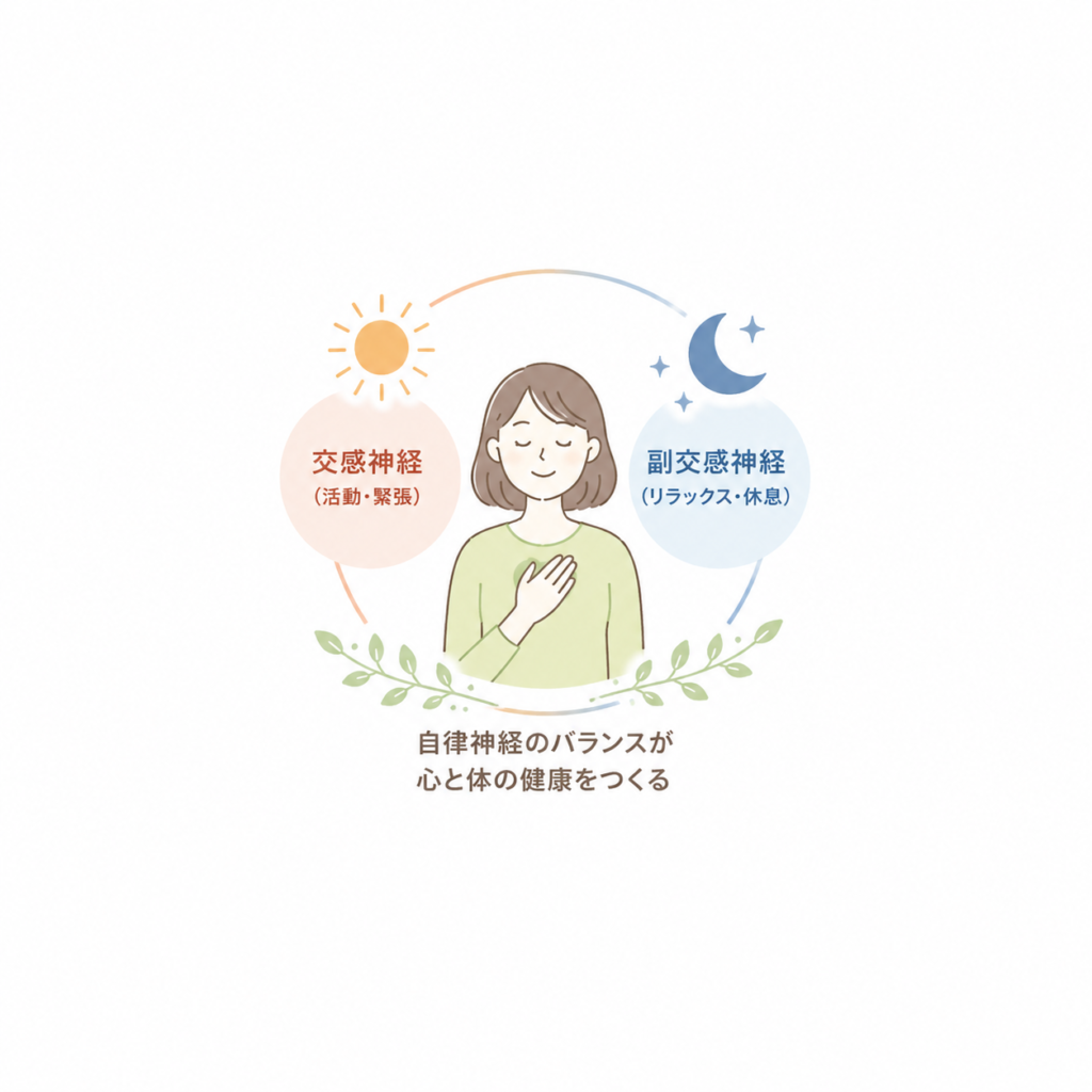 自律神経を整え、夏を乗り切ろう！